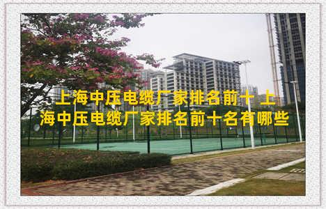 上海中压电缆厂家排名前十 上海中压电缆厂家排名前十名有哪些